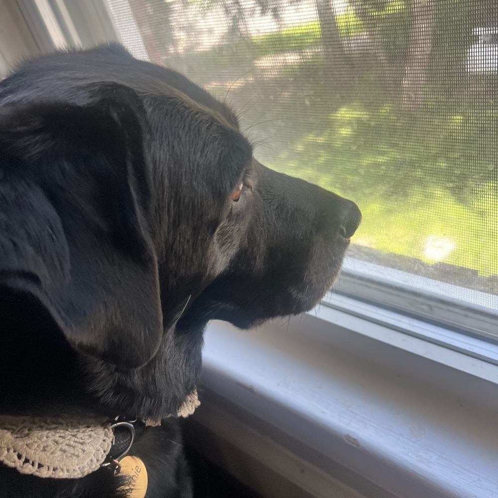 Meet your Posher, Grace